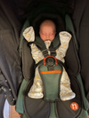 Outnabout V6 Newborn Support