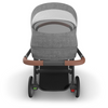 Cruz V3 Stroller Greyson (online)