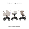 Silver Cross Breez Ultimate Family 360 Bundle Champagne