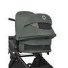 Bugaboo Cub complete Black/Forest Green