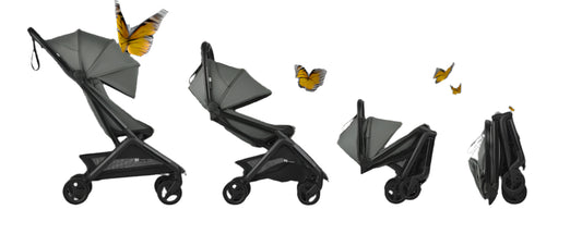 Airplane Stroller